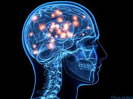 U nguyên bào thần kinh - Hình ảnh minh họa